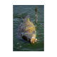 Wafter Sonubaits - Spike'um Wafter Meaty Mussel 8mm